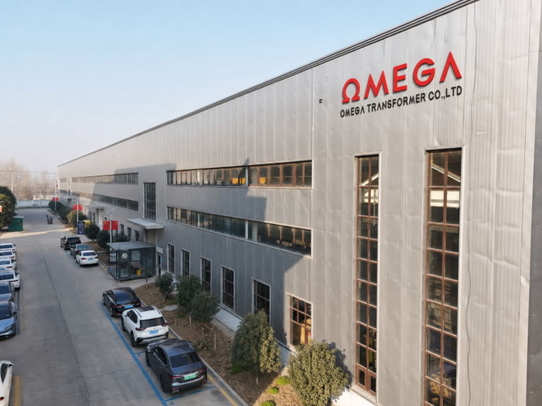 OMEGA Transformer